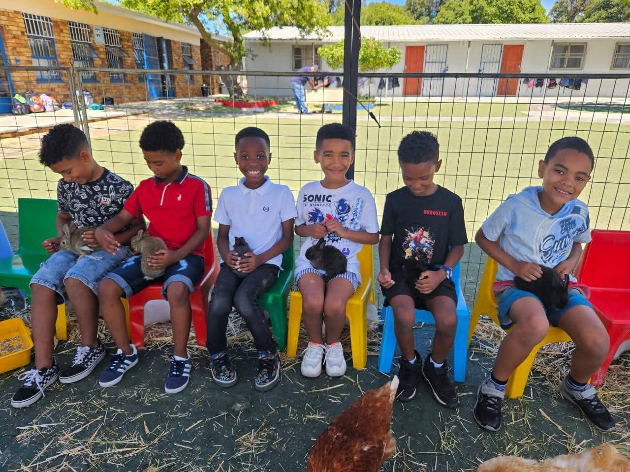 Six young boys sit on colorful plastic chairs outdoors, each holding a small animal, such as a rabbit or guinea pig, on their laps. They are in a fenced area with a school building in the background.