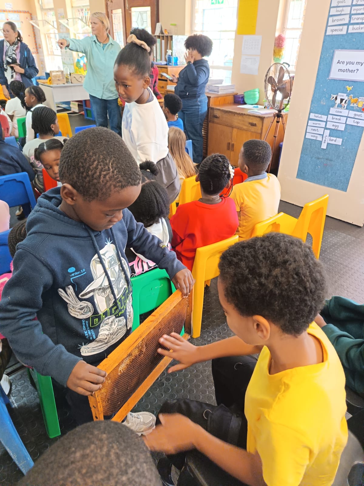 Children sit on colorful chairs in a classroom. Two boys in the foreground examine a wooden object, while others face forward. Two adults stand near the back of the room, guiding the group.